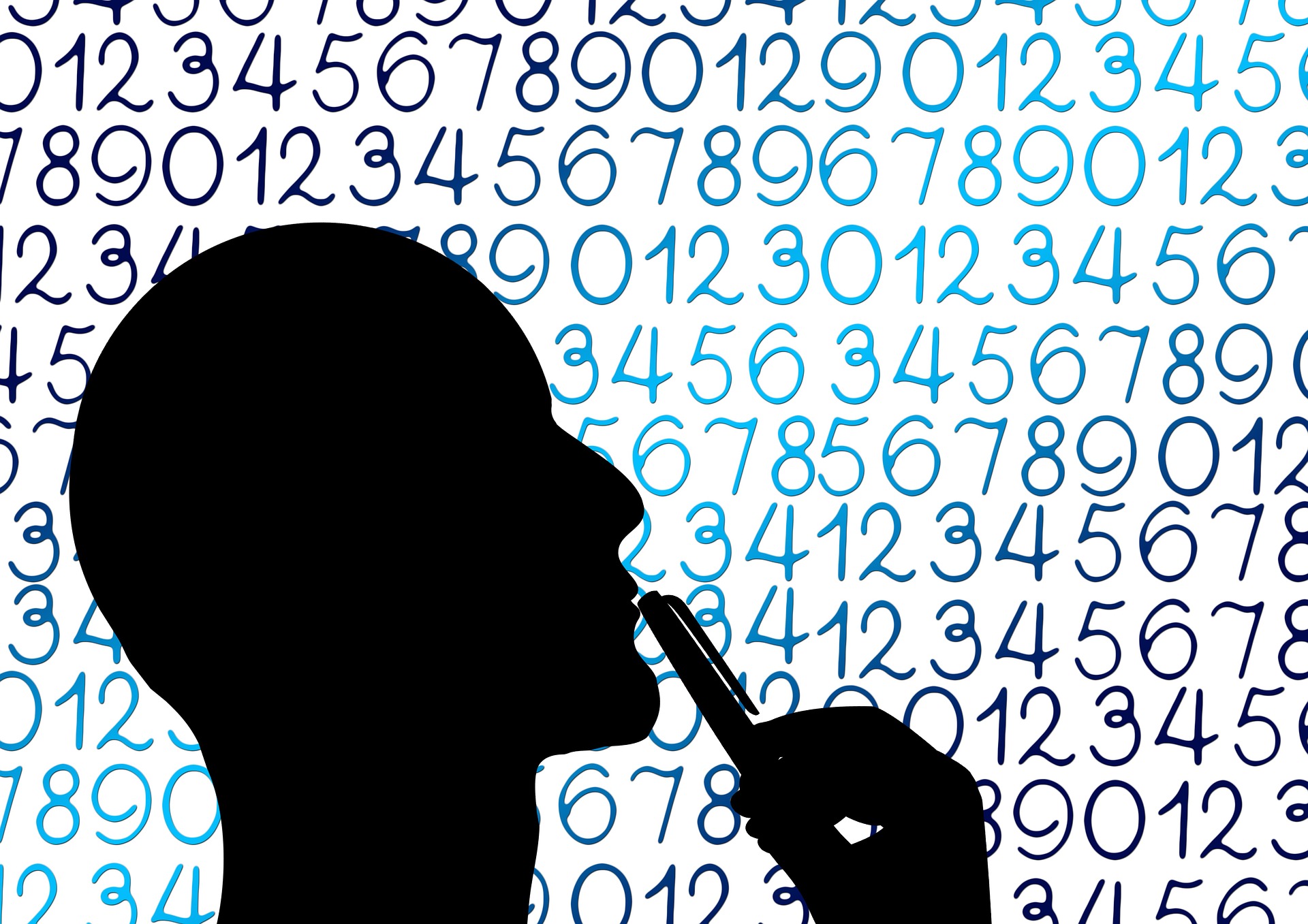 silhouette-g459f5efe0_1920